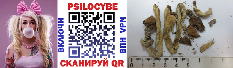 Галлюциногенные грибы Psilocybe  цена наркотик  Отрадное 