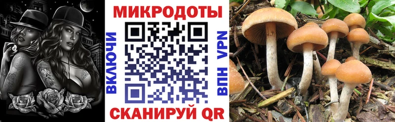 Галлюциногенные грибы мицелий Отрадное